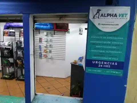 clínica para perros cdmx