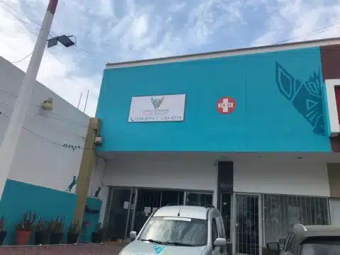 Hospital veterinario en Zapopan