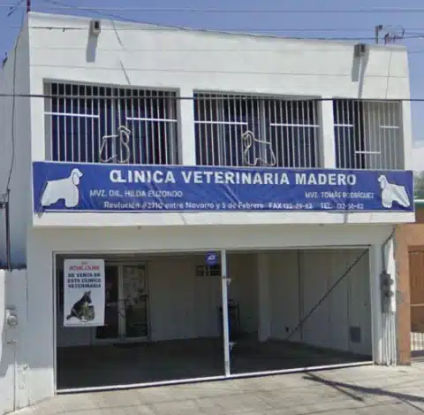 veterinario especialista en gatos La Paz