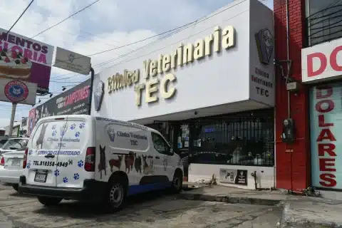 Mejor hospital veterinario en Monterrey