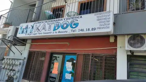 Hospital veterinario en la paz