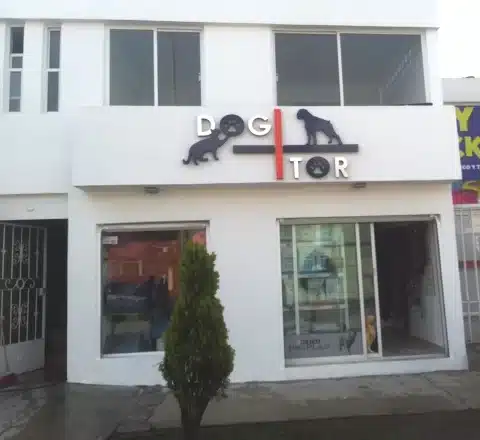 veterinario de aves en Pachuca