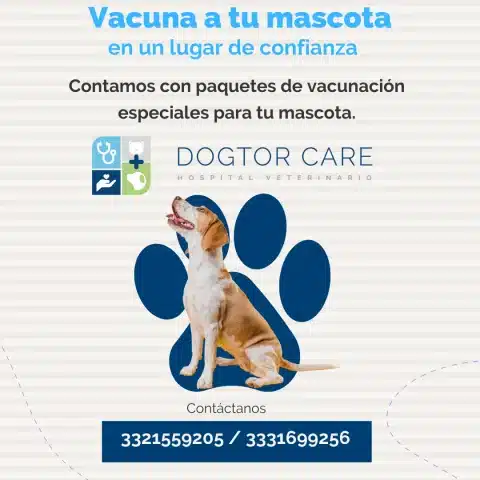 Mejor hospital veterinaria Zapopan