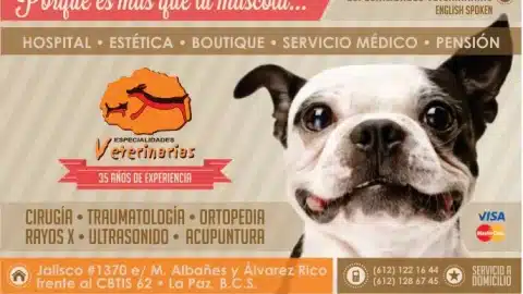 Especialidades veterinarias en La Paz