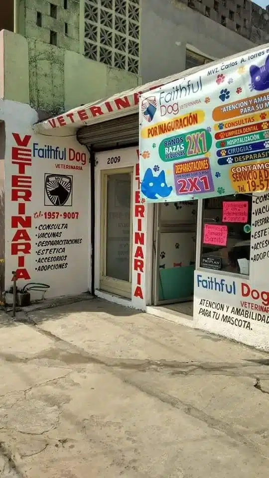 Clínica para perros en Monterrey