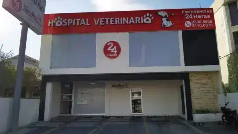 Hospital animal Zapopan