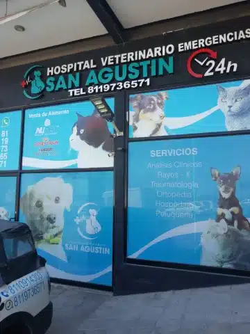 Hospital veterinario en Monterrey