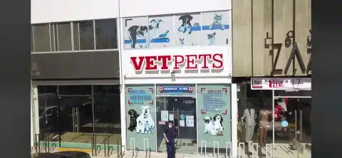 veterinaria de aves en zapopan