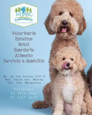 veterinaria santa margarita zapopan jal