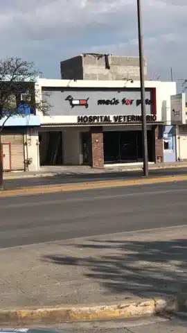 Clínica veterinaria de Monterrey