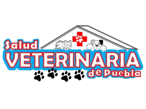 Hospital veterinario en Puebla