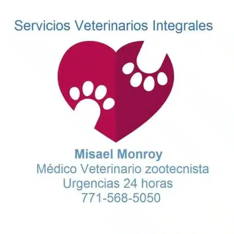 Hospital Veterinario Pachuca