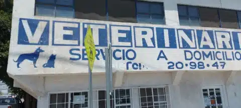 veterinaria 24 horas Torreón