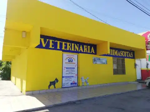 clínica veterinaria a domicilio en La Paz