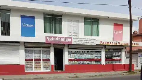 Farmacia veterinaria Pachuca