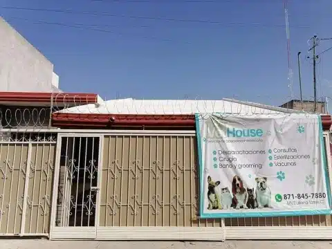 Clínica veterinaria a domicilio Torreón