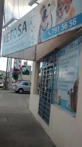 Veterinario de aves torreón