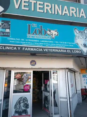 Hospital animal Torreón