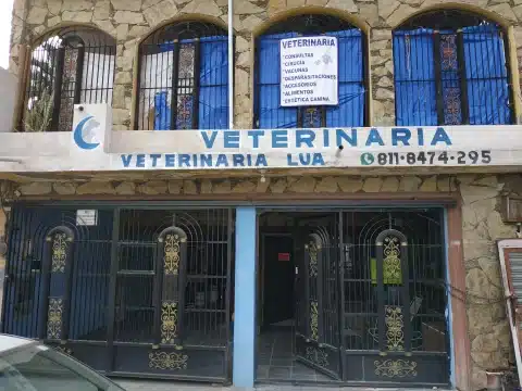 veterinaria la rabia Monterrey