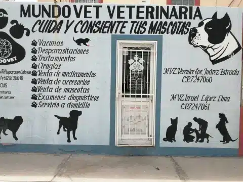 Hospital animal en La Paz