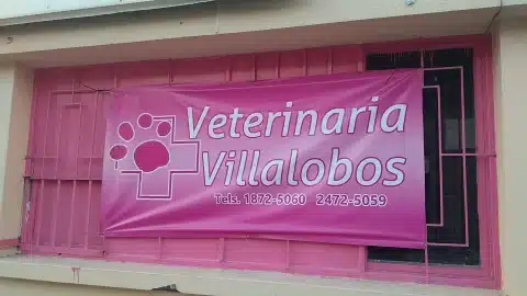 Clínica veterinaria a domicilio en Monterrey