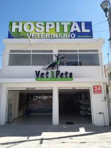 Hospital animal Pachuca