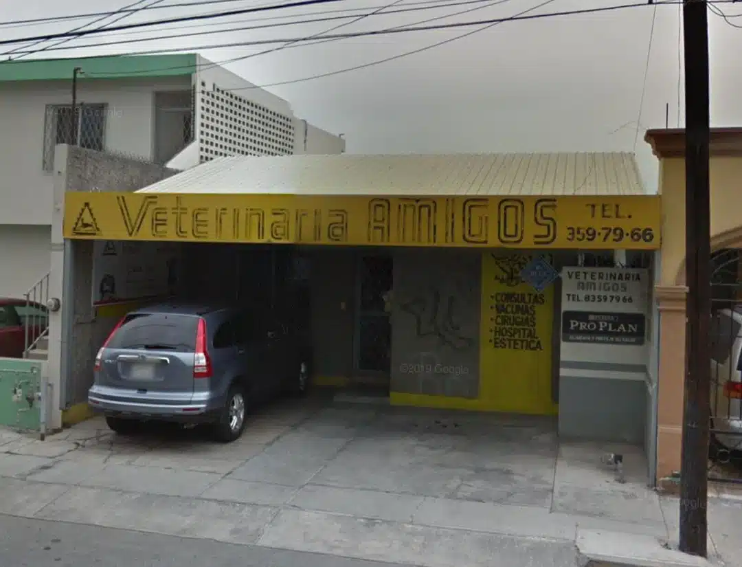 Veterinaria en Monterrey