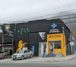 Hospital veterinario en Guadalupe