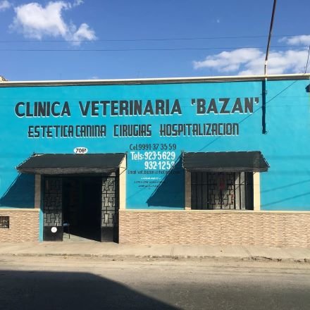 Clínica para perros en mérida