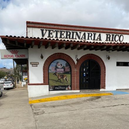 hospital veterinario en ensenada