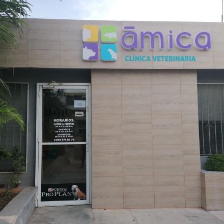 Mejor hospital veterinario en Mérida