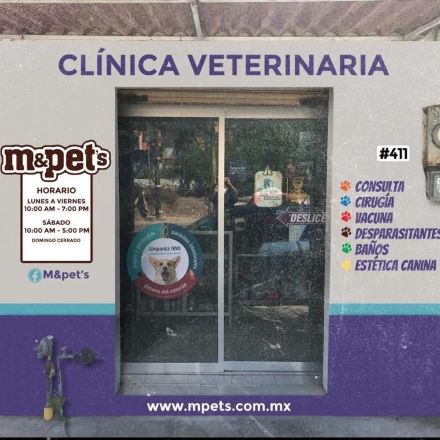 Hospital para perros en Tampico