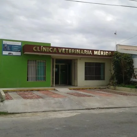 Hospital veterinario en Mérida