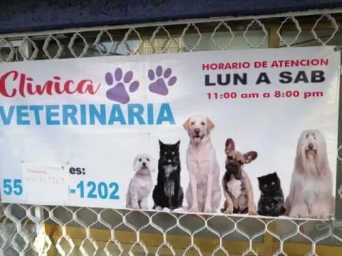 hospital veterinario Iztapalapa