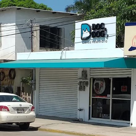 Clínica para perros en Tampico