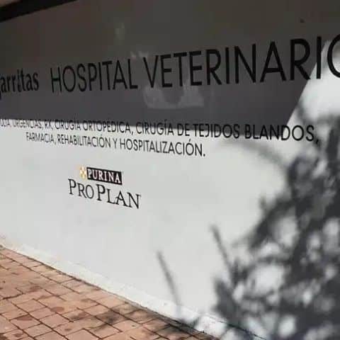 Hospital Veterinario Garritas