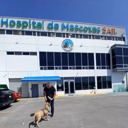 Clínica veterinaria a domicilio Tijuana