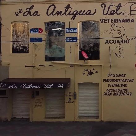 Hospital animal en Tampico