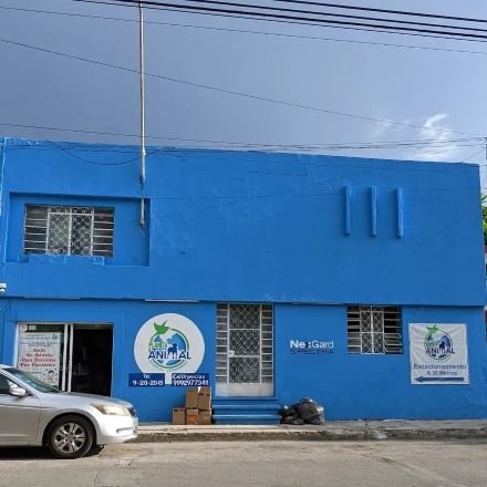 Veterinaria en Mérida