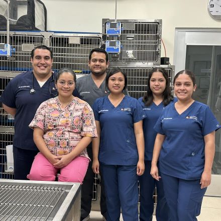 Hospital veterinario en Tampico