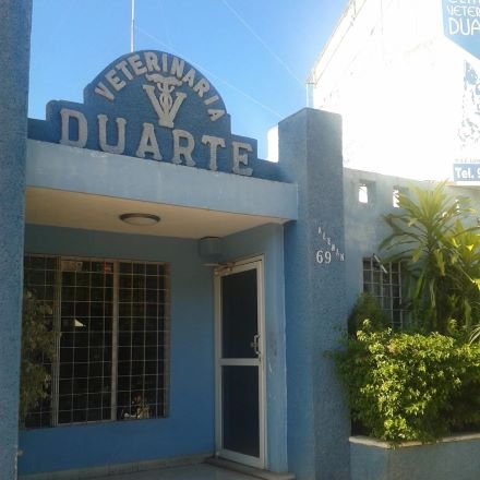 Clínica veterinaria a domicilio en Mérida