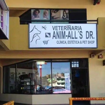 Hospital para perros en Tijuana