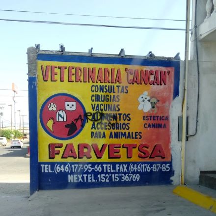 Mejor hospital veterinario Ensenada