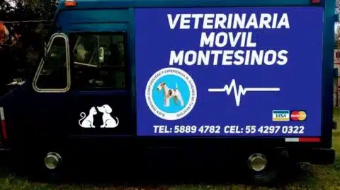 Veterinaria móvil Cuautitlán Izcalli