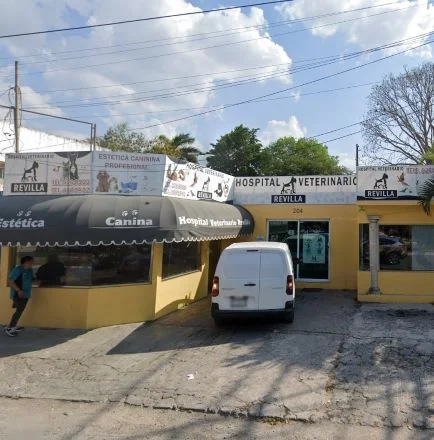 veterinario de aves en Mérida