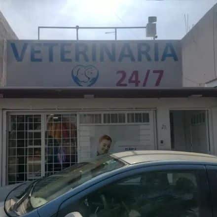 Servicios veterinarios Cuautitlán Izcalli