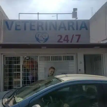 Servicios veterinarios Cuautitlán Izcalli