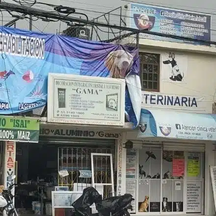 veterinaria 24 horas cuautitlan izcalli