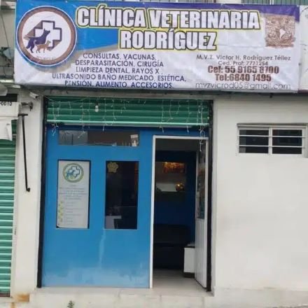 clínica para perros Cuautitlán Izcalli