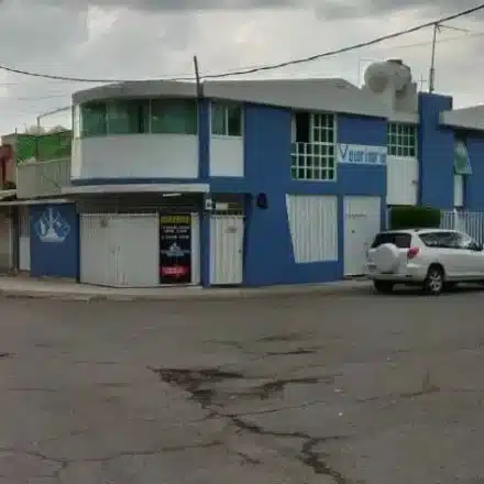 Mejor hospital veterinario Cuautitlán Izcalli